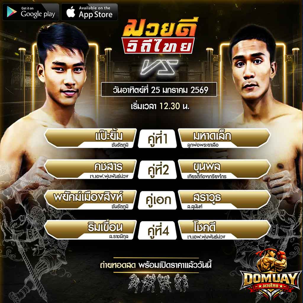 มวยดีวิธีไทย