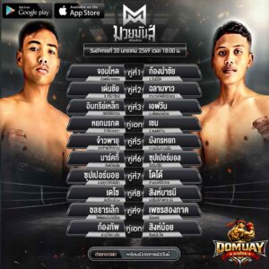 โปรแกรมมวยมันสื