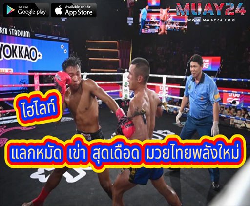 ไฮไลท์-โชคไชย-ร่างกายเยี่ยมฟิตมาดี-ชนะคะแนน-หนุ่มเชิงดอย