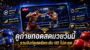 ถ่ายทอดสดมวย